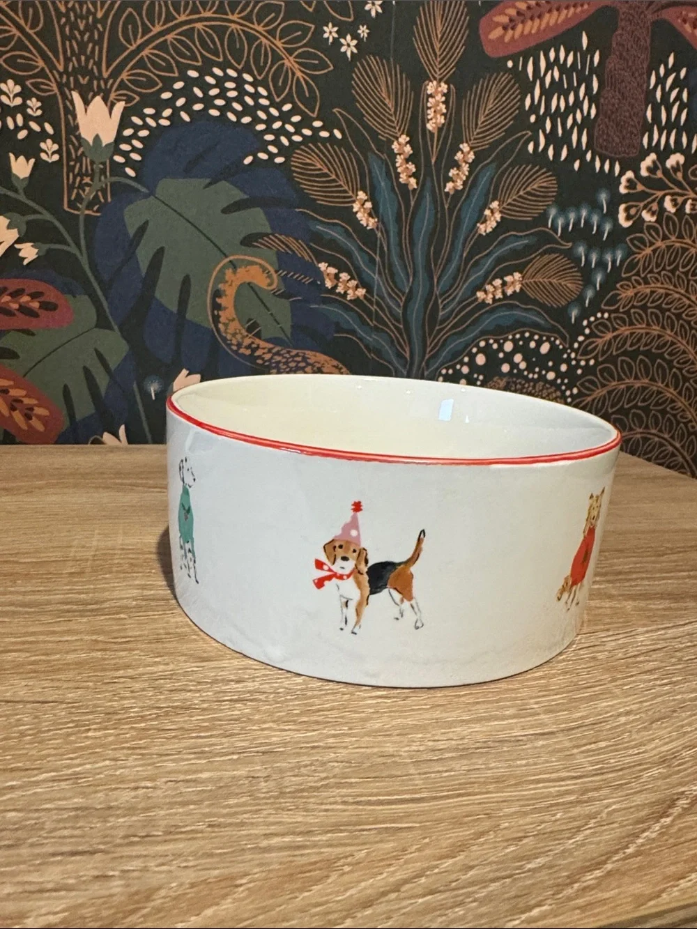 NWOT | Beth Briggs Holiday dog bowl
